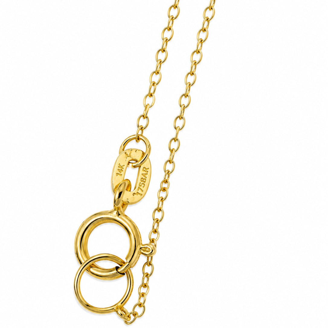 14K Yellow Gold Horsebit Pendant Necklace 20” .5MM